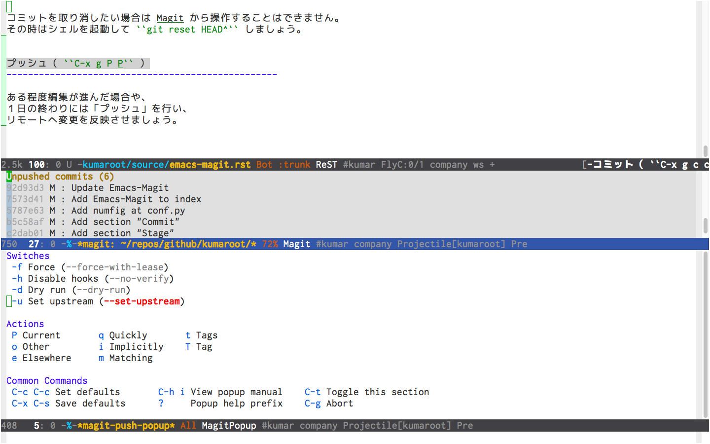 ../_images/magit-push.png